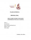 Ensayo sobre un posible caso de Suicidio.