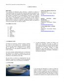 LABORATORIO DE TITULACION