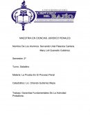 MAESTRIA EN CIENCIAS JURIDICO PENALES
