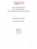 Producción en Bizcochos Nuria.