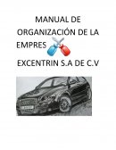 Manual de organizacion de la empresa.