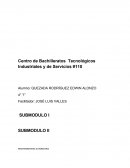 Centro de Bachilleratos Tecnológicos Industriales y de Servicios #110