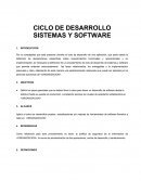 CICLO DE DESARROLLO SISTEMAS Y SOFTWARE