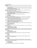 ¿Qué significa “es más frecuente que el valor de los productos dependa más de los elementos no materiales que lleva incorporado”?