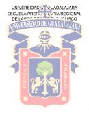 IDENTIDAD Y FILOSOFIA “EMPIRISMO Y RACIONALISMO”