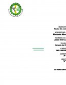 Tema: Ejercicios en java