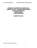 FORMATO DE REPORTE DE PRÁCTICAS