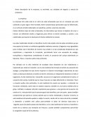 La empresa Arte velas