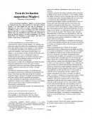 Tren de leavitacion magnetica