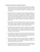 IDENTIFICACIÓN Y DESCRIPCIÓN DE LOS PROBLEMAS POTENCIALES.