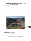 Caso de la Industria Minera
