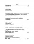 OPERATIVIDAD URBANA PUERTO VALLARTA.