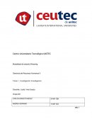 Tarea 1, Investigación Investigacion