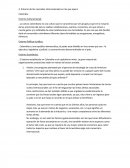 Top 10 de importadores.