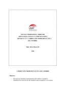 La Correccion Morfosintactica del nombre