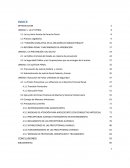 SEMINARIO SISTEMA PENAL