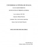 INFECCIÓN POR EBOLA VIRUS