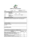 Tema: Formato de perfil de puesto