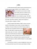 Tema: Ftiliasis (Ladillas)