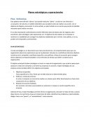 Planes estratégicos y operacionales Plan. Definición.