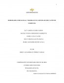 DEBILIDADES, FORTALEZAS, Y MEJORAS EN EL SISTEMA DE EDUCACIÓN DE UNIMINUTO.