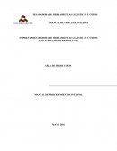 Manual de procesos. EMPRESA PRESATADORA DE HERRAMIENTAS LOGISTICAS Y OTROS SERVICIOS