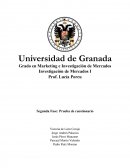 Tema: Investigación Mercado