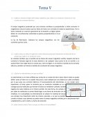 Fisica. Campo magnético