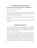 Propuestas Estrategicas. ANTECEDENTES GENERALES DE LA ORGANIZACIÓN