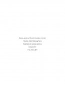 Sistemas operativos Microsoft orientados al servidor.