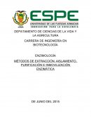 MÉTODOS DE EXTRACCIÓN, AISLAMIENTO, PURIFICACIÓN E INMOVILIZACIÓN ENZIMÁTICA.