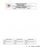 PROCEDIMIENTO DE AUDITORIA “E.P.S FERRECASA CONCRETO, C.A,”