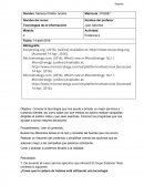 Evidencia 2 Tec de la Información