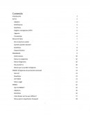 Panfleto Programas de Fomento Mexico