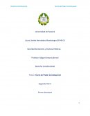 El poder contituyente