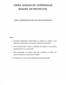 ELABORACION DE UN PLAN DE NEGOCIOS