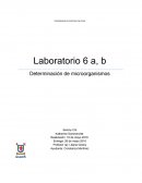 Determinación de microorganismos