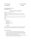 Plan de educación trabajo colaborativo