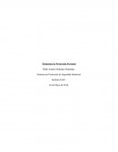Sistemas de Protección de Seguridad Industrial.