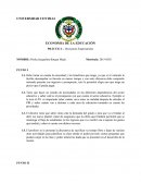 Ejercicio de economía MIchael Pukin