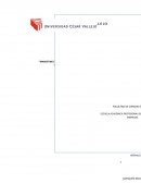 Marketing digital en las pequeñas empresas de la ciudad de Tarapoto