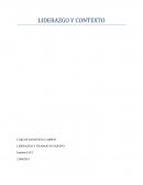LIDERAZGO Y TRABAJO EN EQUIPO. EJEMPLO DE CONTEXTO