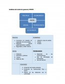 Análisis del entorno general, PESTE.