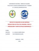 Creacion de empresa de pollos de engorde.