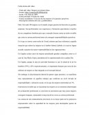 EL TECHO DE CRISTAL.