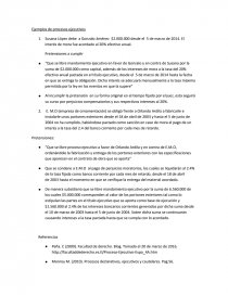 Ejemplos de procesos ejecutivos. Página 1