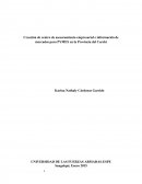 Creación de centro de asesoramiento empresarial e información de mercados para PYMES en la Provincia del Carchi