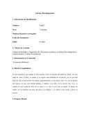 El Hombre Bicentenario. Informe Psicodiagnóstico