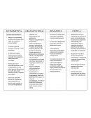Globalizacion. ECONOMICISTA ORGANIZACIONAL HUMANISTA CRÍTICA