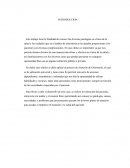 Patologías en el área de la salud y los cuidados que en el ámbito de enfermería